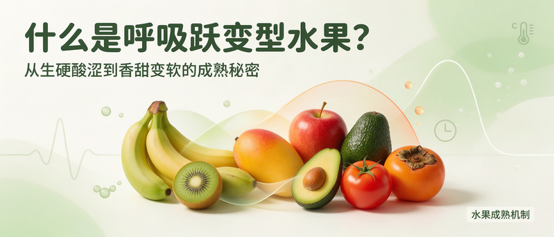 什么是呼吸跃变型水果？看懂它，就懂了猕猴桃为什么硬着发货