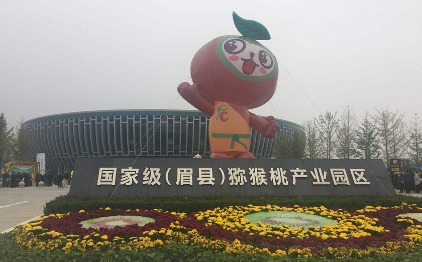 网上买猕猴桃买哪里发货的好_网购哪里的猕猴桃好
