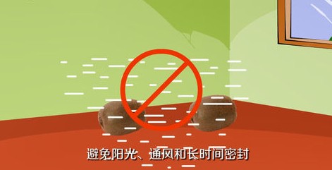 猕猴桃桃怎么保存时间长一些？