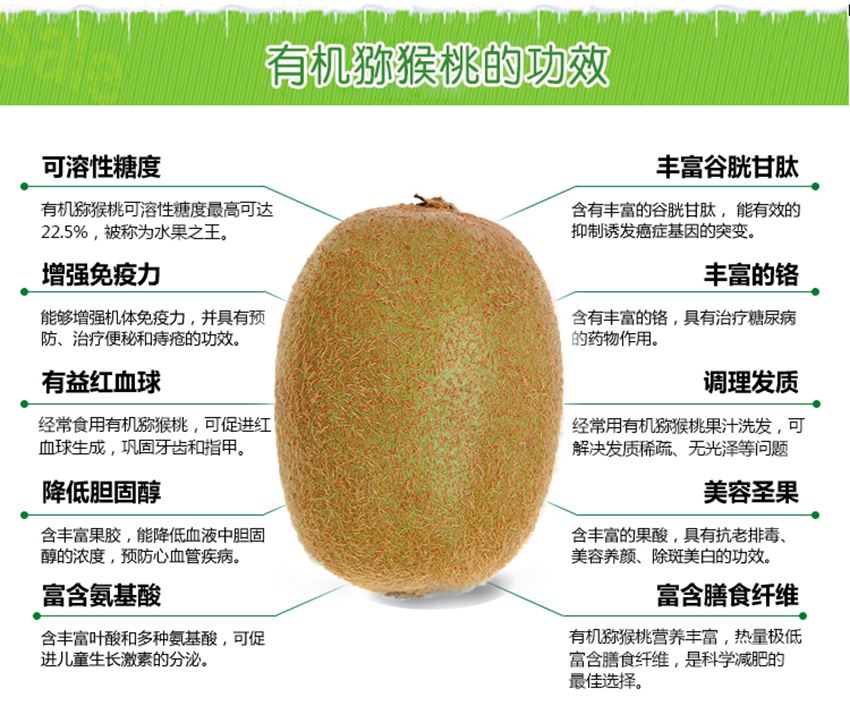 猕猴桃吃了有什么好处_吃猕猴桃功效和营养